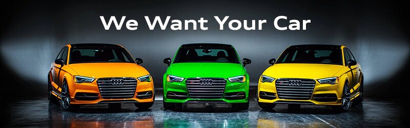 Audi Pacific We Want Your Car image.jpg