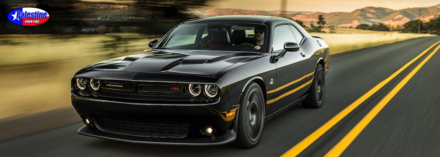 Dodge Challenger Palestine TX.jpg