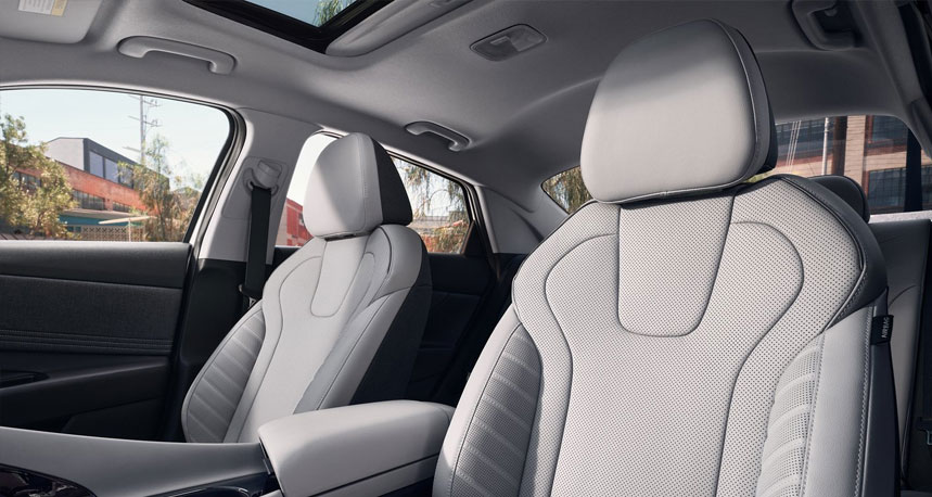 Elantra Limited Gray Leather Trimmed Seating