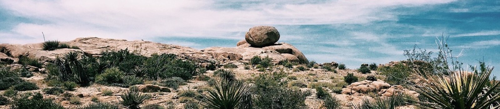 california landscape_1600x350.jpg