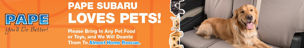 Pets1200x37523
2020 .jpg