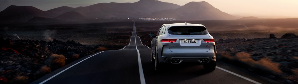 fpace4.png