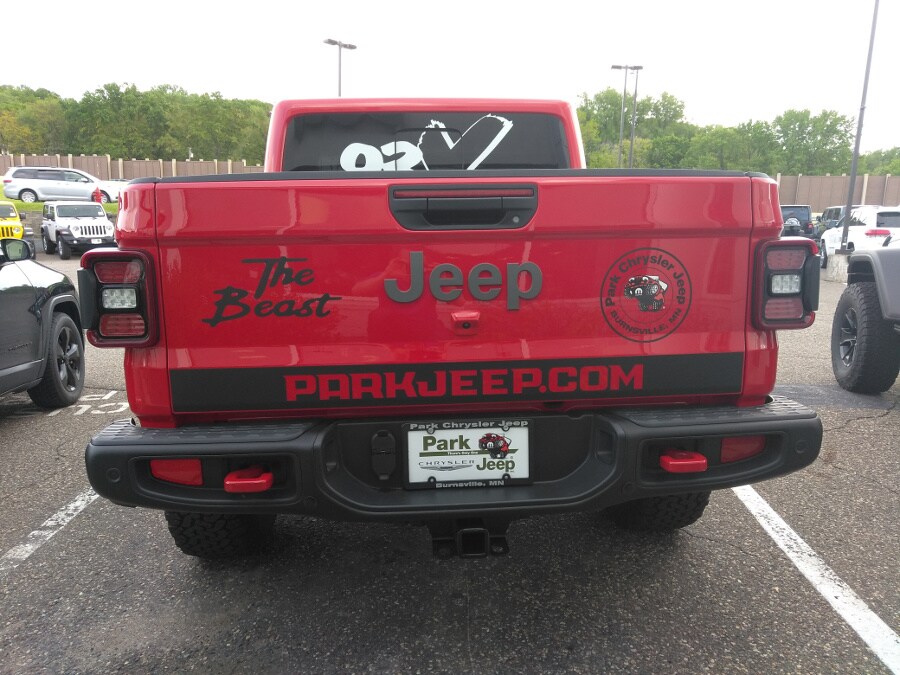 BackSized.jpg