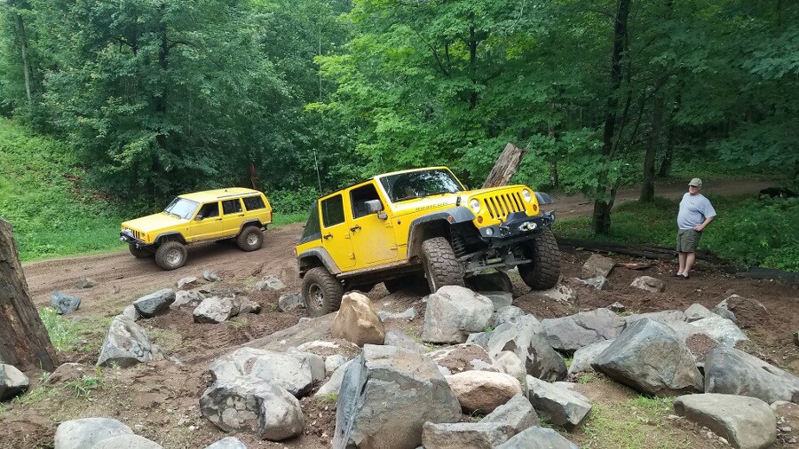 TwoYellow.JPG