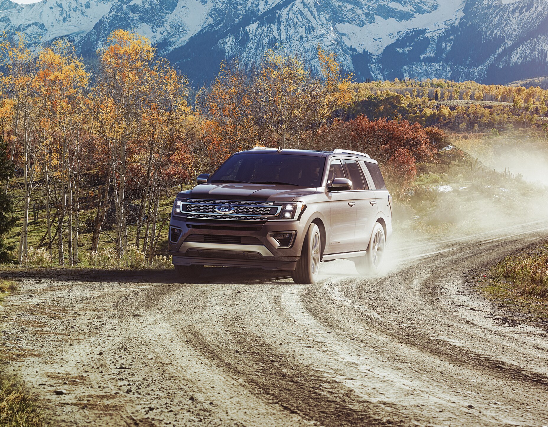 2018 Ford Expedition Platinum SUV