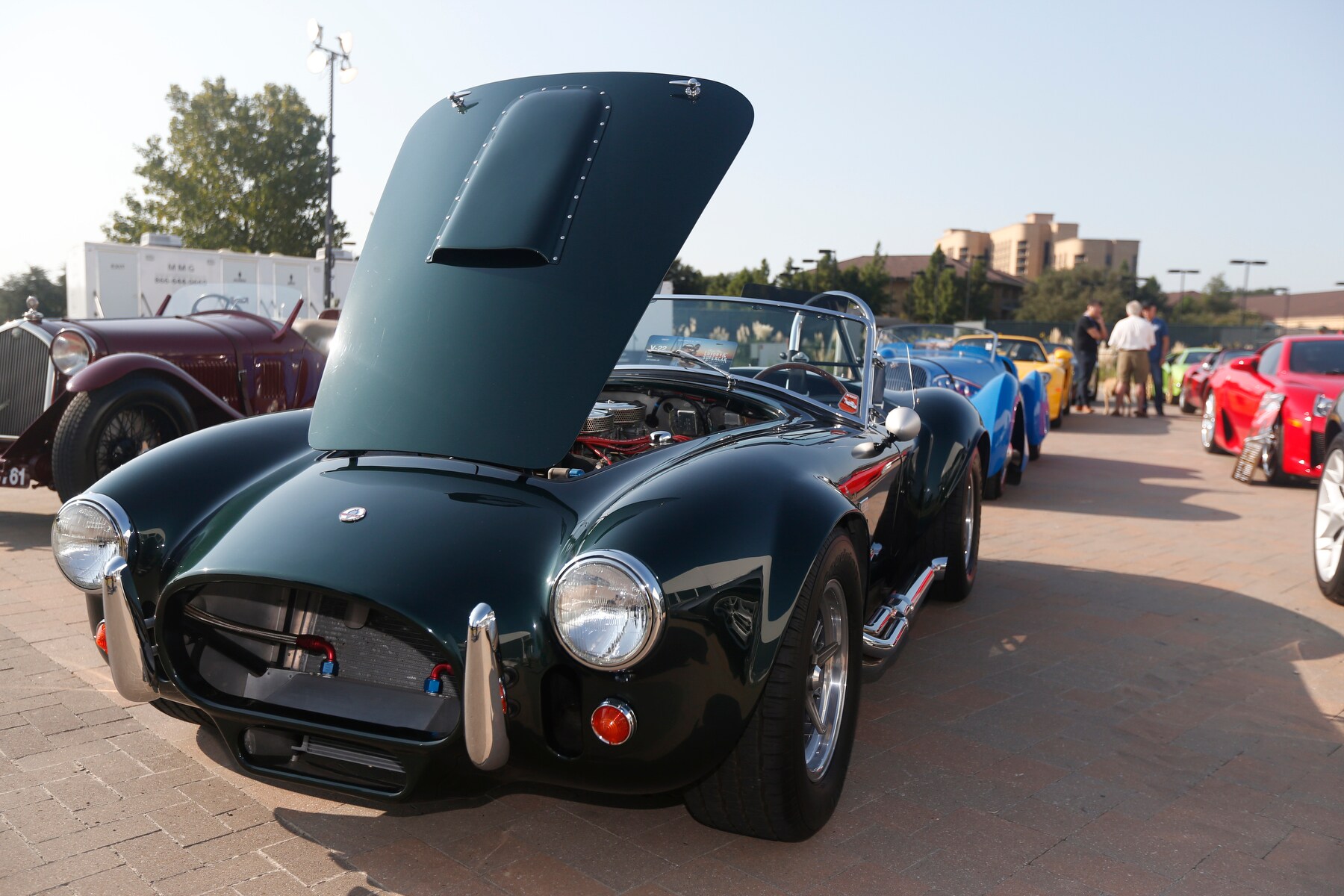 A Shelby shows off its engine as sun shines down on its forest green paint