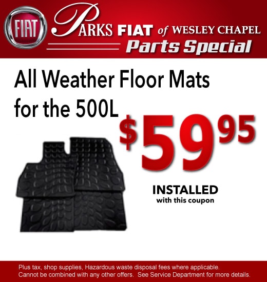 FloorMats_Cpn.jpg