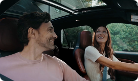 Panoramic Vista Roof®