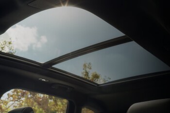 Panoramic Vista Roof