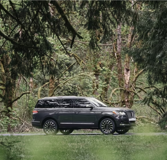 LINCOLN BLACK LABEL