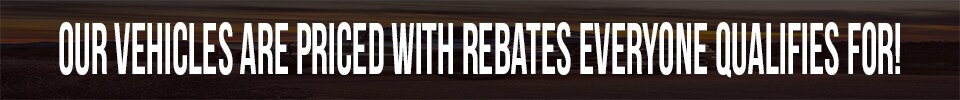 website banner1.jpg