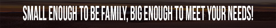 website banner2.jpg