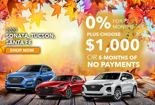 parkway-hyundai-november-special-page.jpg
