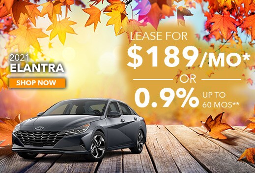 parkway-hyundai-elantra-november-special-page.jpg