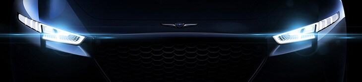 parkway-hyundai-genesis-brand-3.jpg