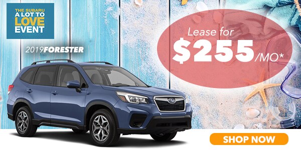 parkway-subaru-forester-august-kiosk.jpg