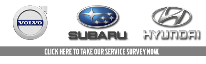 service-survey.png