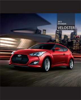 13veloster.jpg