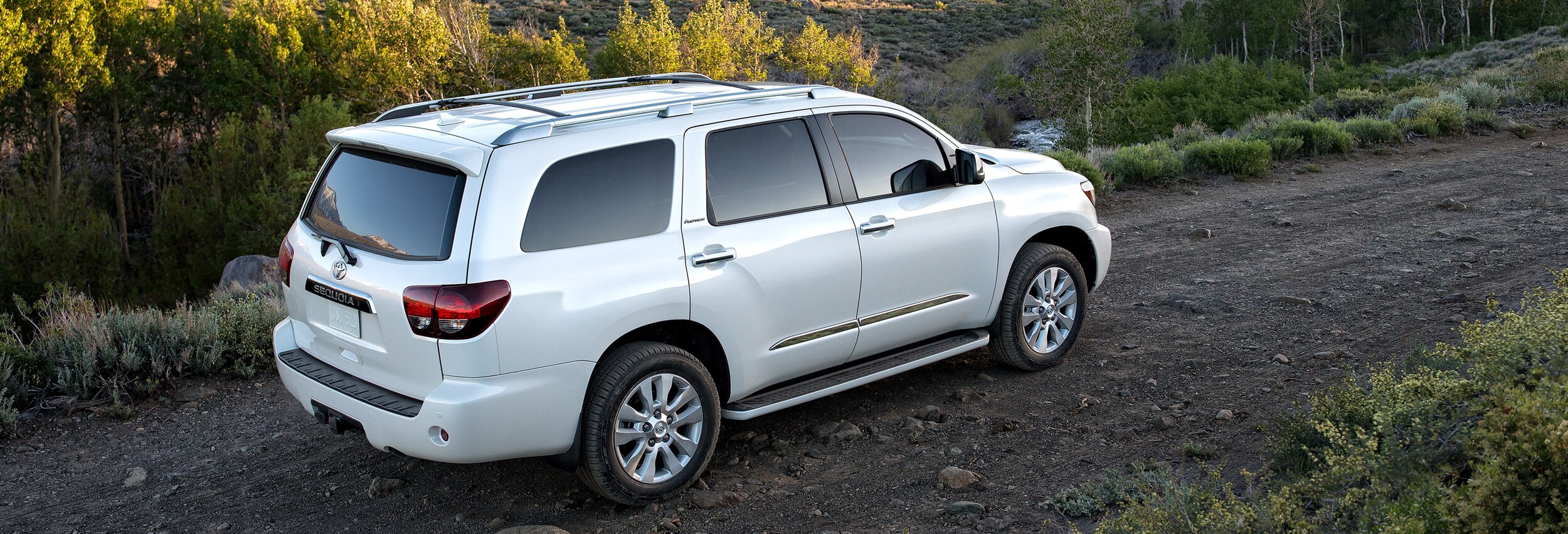2020 Sequoia 1.png