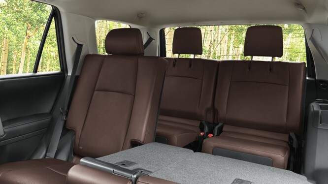Toyota 4Runner Back.jpg