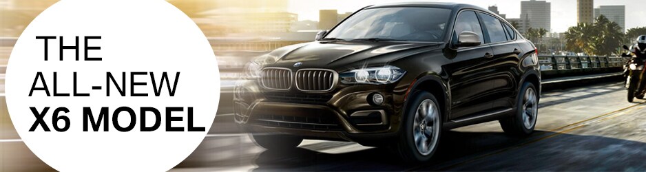 PATRICK-BMW-X6-MODEL.jpg