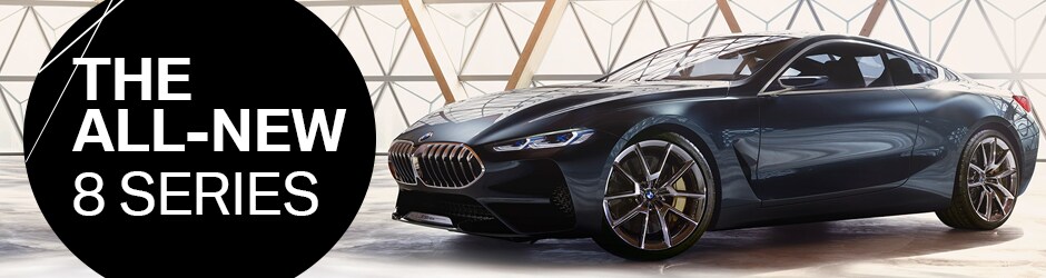 PATRICK BMW 8 SERIES.png