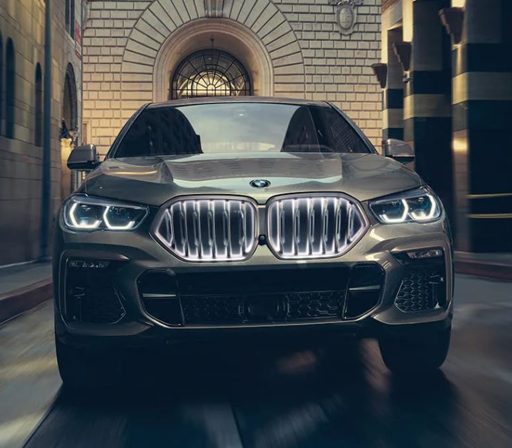 2021-bmw-x6-grille.JPG
