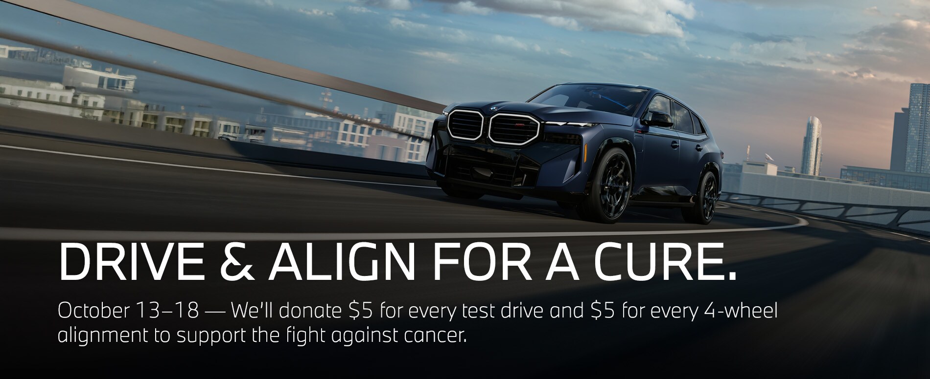 Drive & Align for a Cure.jpg