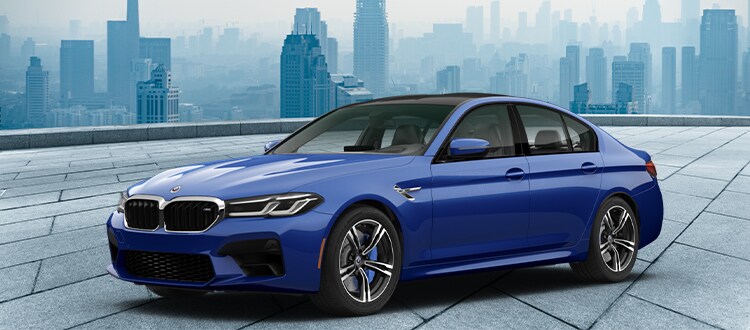 M5.png