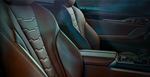 patrick bmw 8 series.png