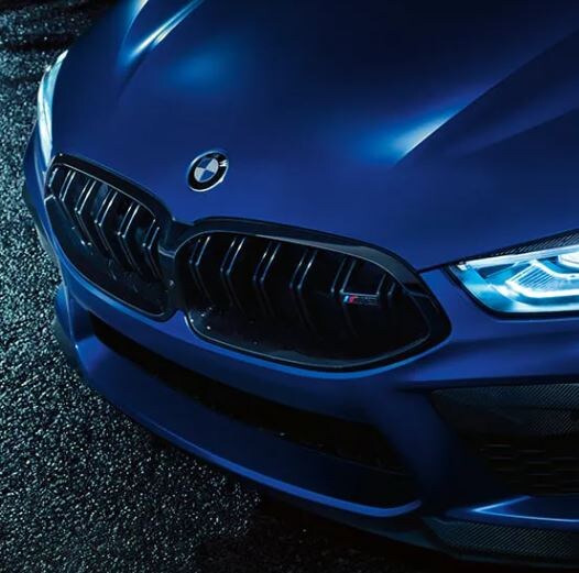 2022-bmw-m8-coupe-grille.JPG