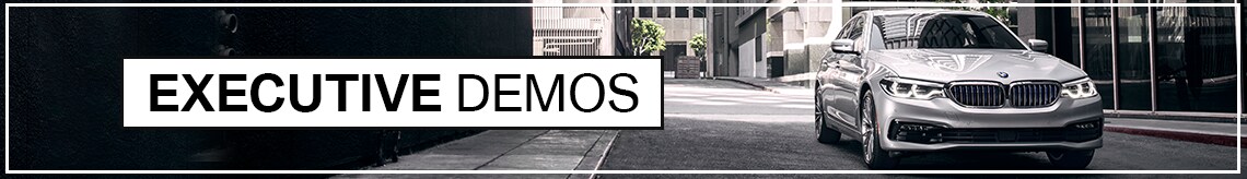 EXEC DEMOS.png