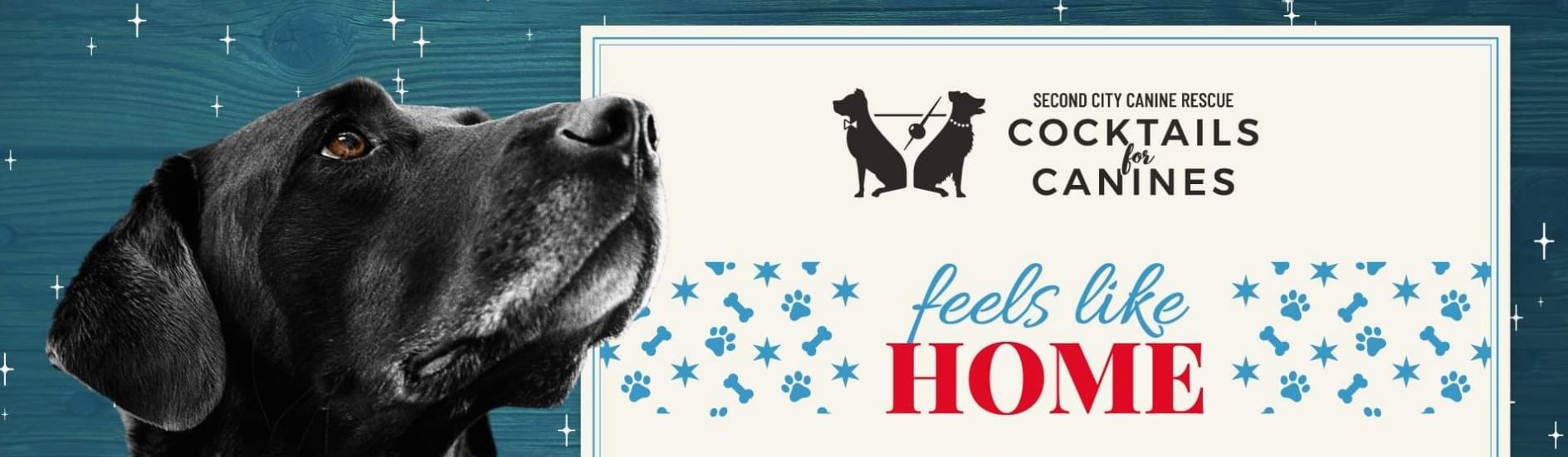 Second City Canine Rescue's 'Cocktails for Canines' event, where attendees enjoy drinks and support the rescue and rehoming of dogs in need