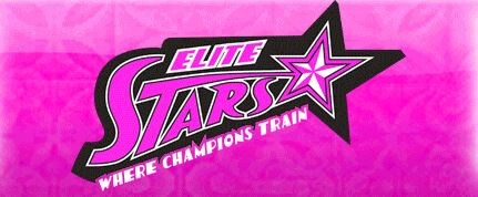 Logo of Elite Stars, an organization dedicated to providing inclusive sports and recreational opportunities for individuals with special needs.