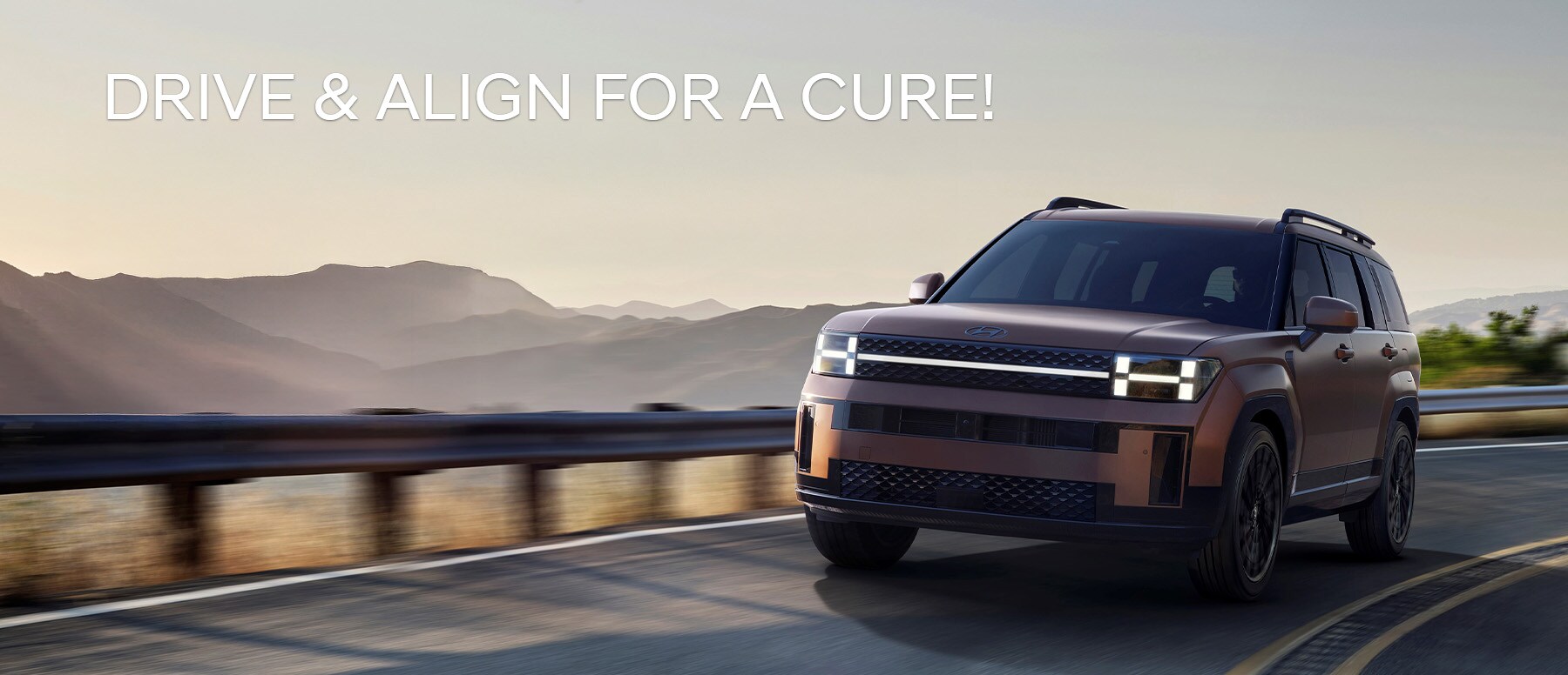 Hyundai%20Breast%20Cancer%20Banner.jpg
