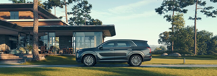 2020 Palisade