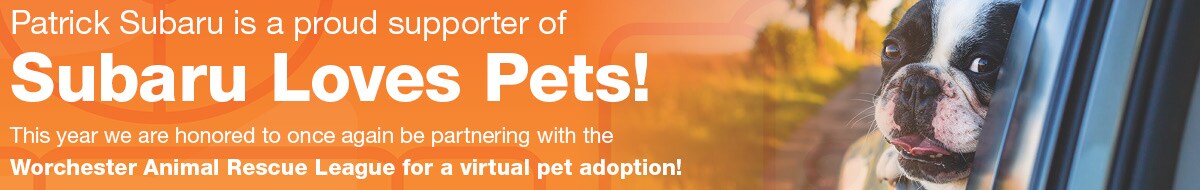 Pets1200x37523 2020 .jpg