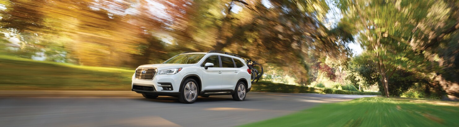 2019-Subaru-Ascent.png