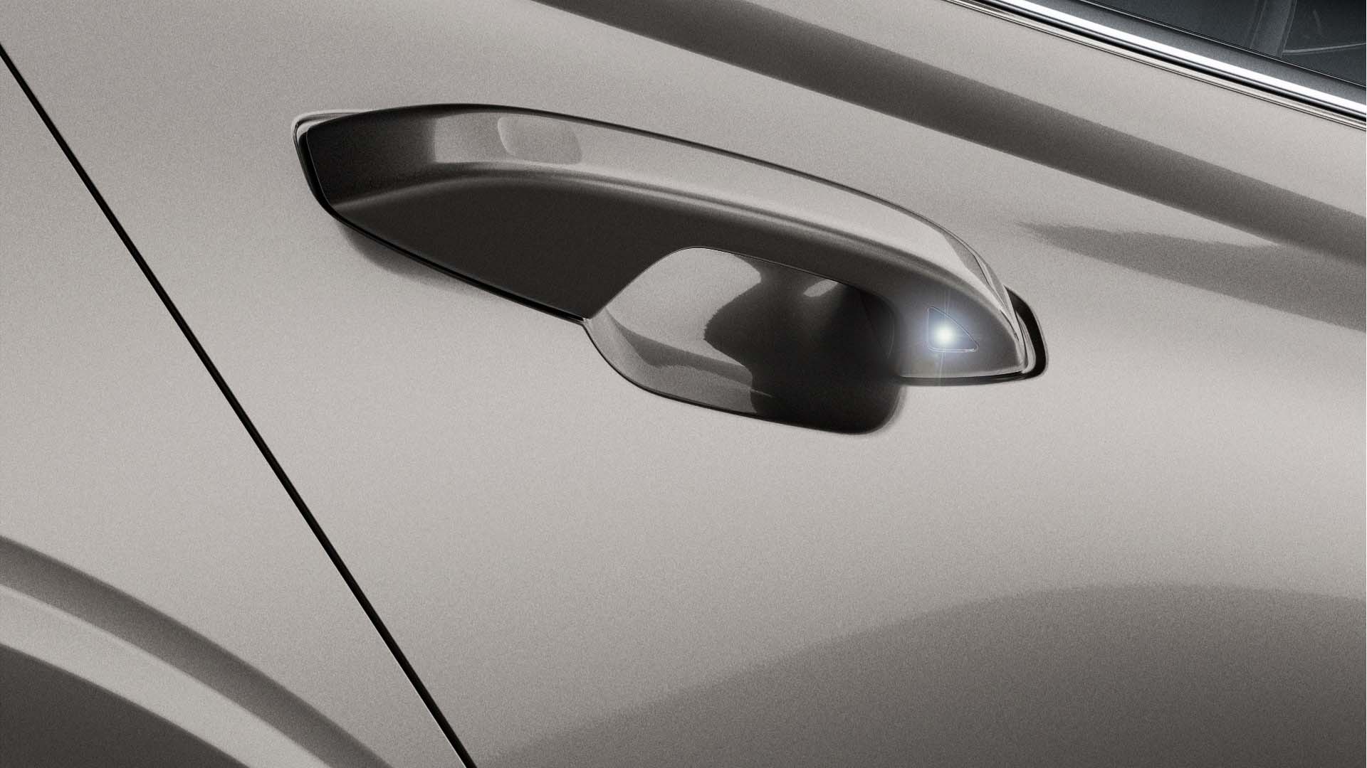 body-colored door handles with ground lighting.jpg