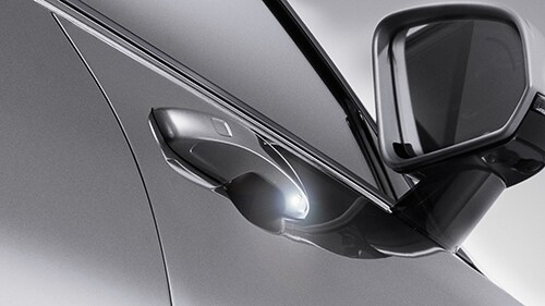 Body-Colored Door Handles with Ground Lighting_500x281.jpg
