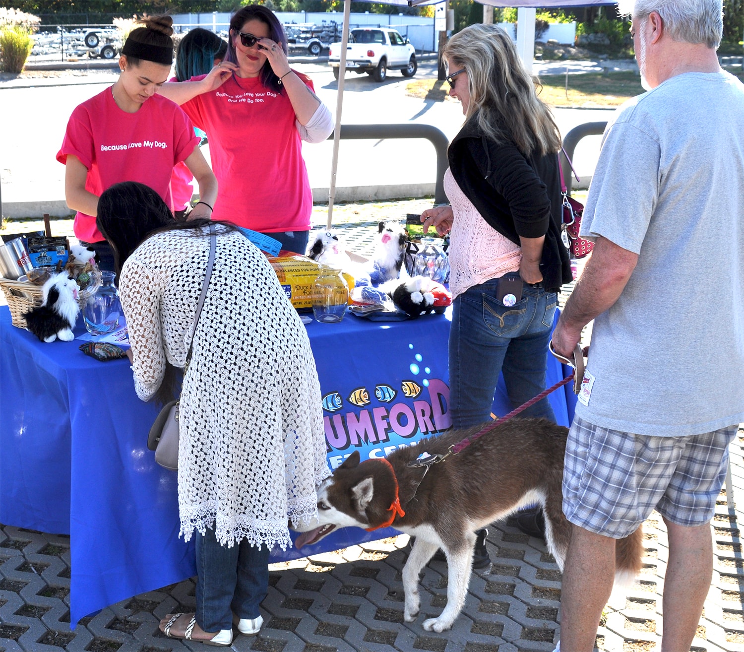 Patriot-Subaru-North-Attleboro-Rumford-Pet.jpg