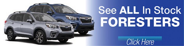 See-All-Foresters-Patriot-Subaru.jpg