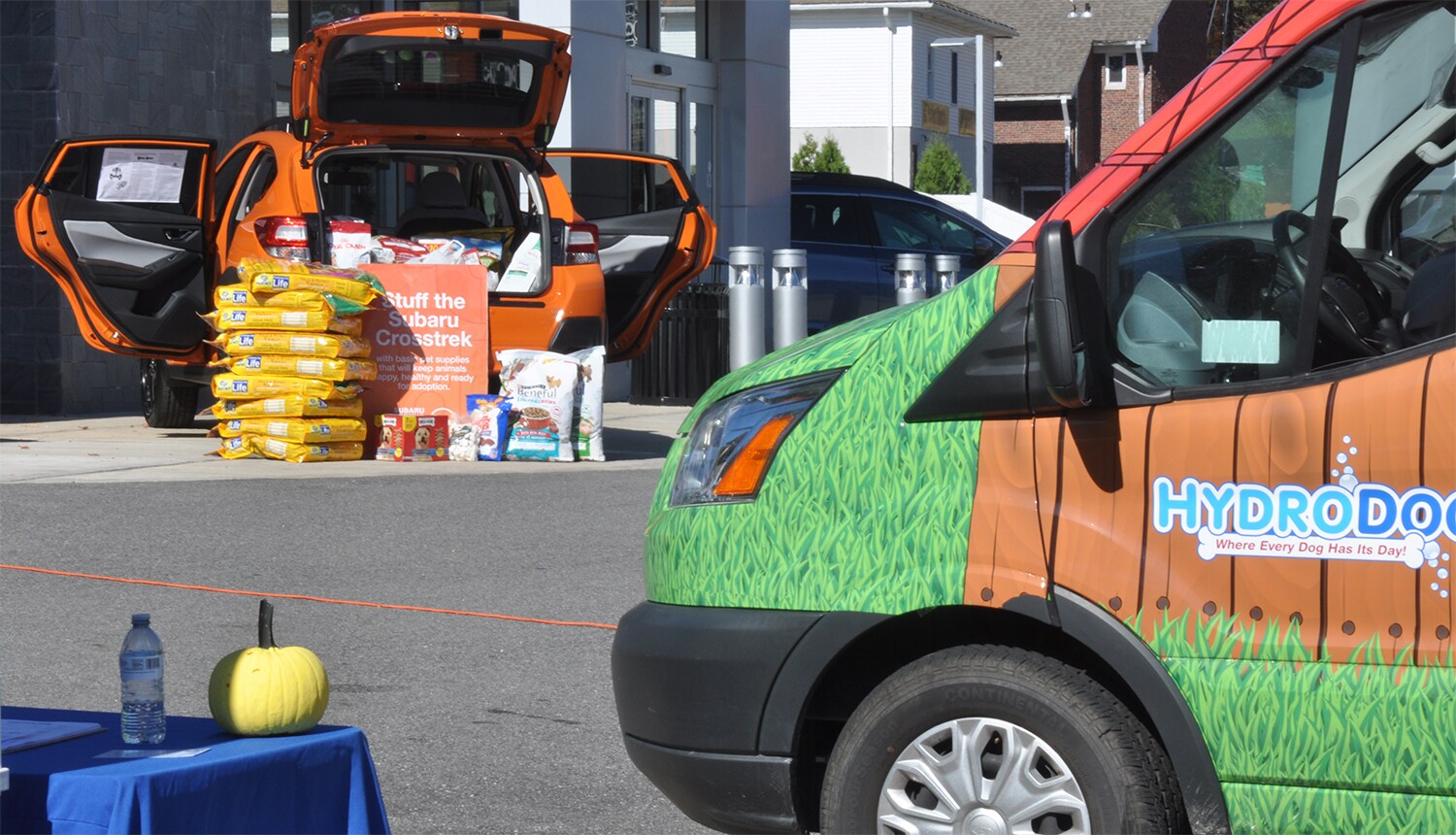 Patriot-Subaru-North-Attleboro-Stuff-Subaru-Bathe.jpg