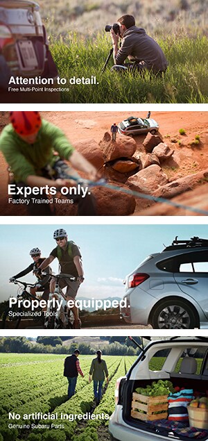 Patriot-Subaru-Dealer-Service-Reaons.jpg