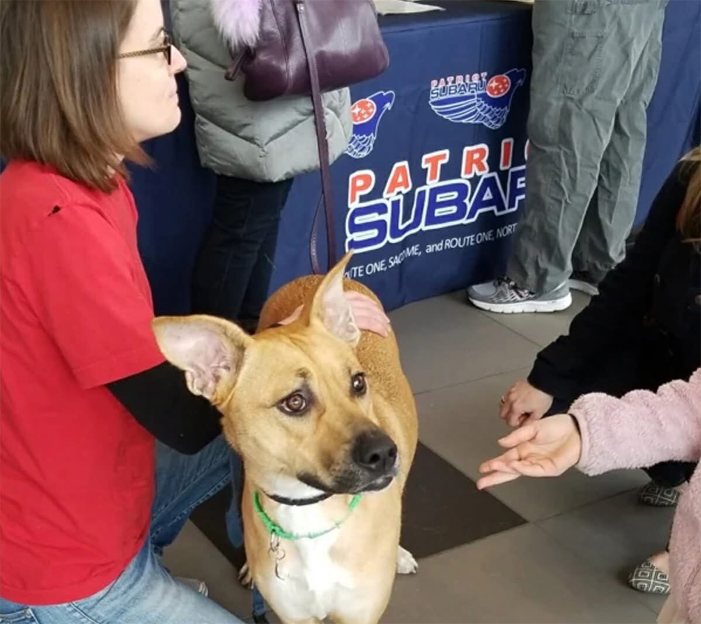 Subaru