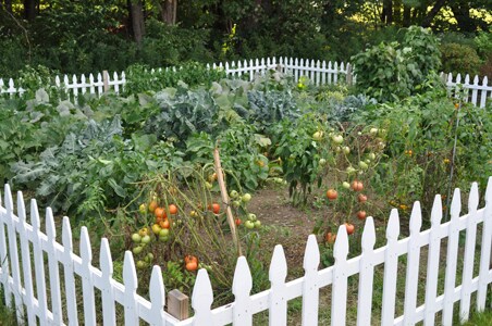 Patriot Subaru Garden Grows sm.jpg