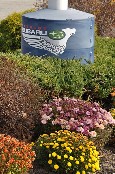 Patriot-Subaru-Fall-2015-2.jpg