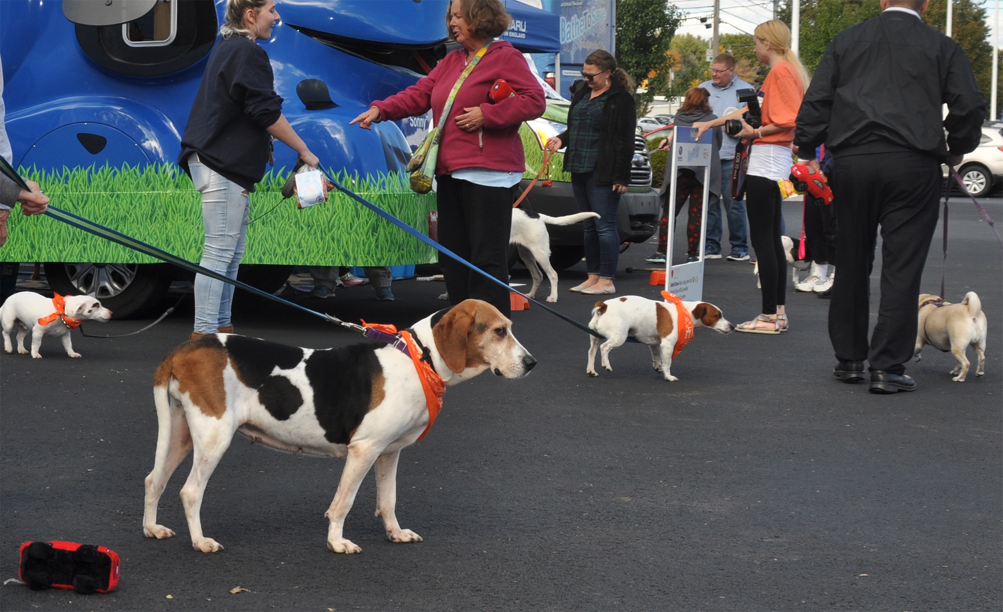 Patriot-Subaru-Bathe-To-Save-Dogs-Pic-3.jpg
