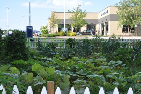 Patriot Garden Fence View sm.jpg
