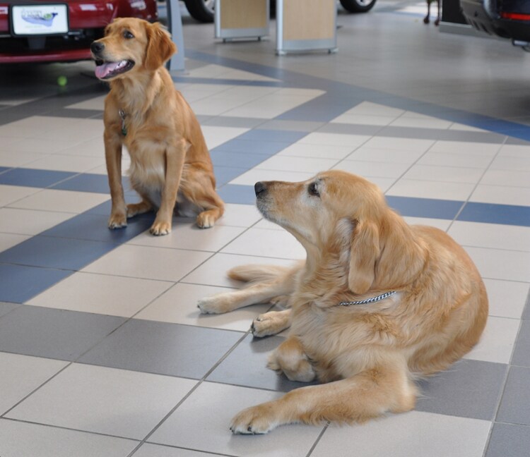 Subie & Colby @ Patriot Subaru 2.jpg